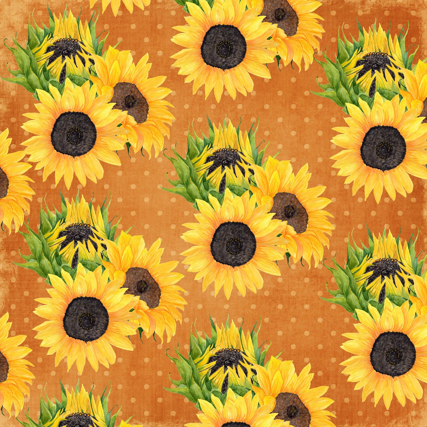 Sunflower - Pack 1