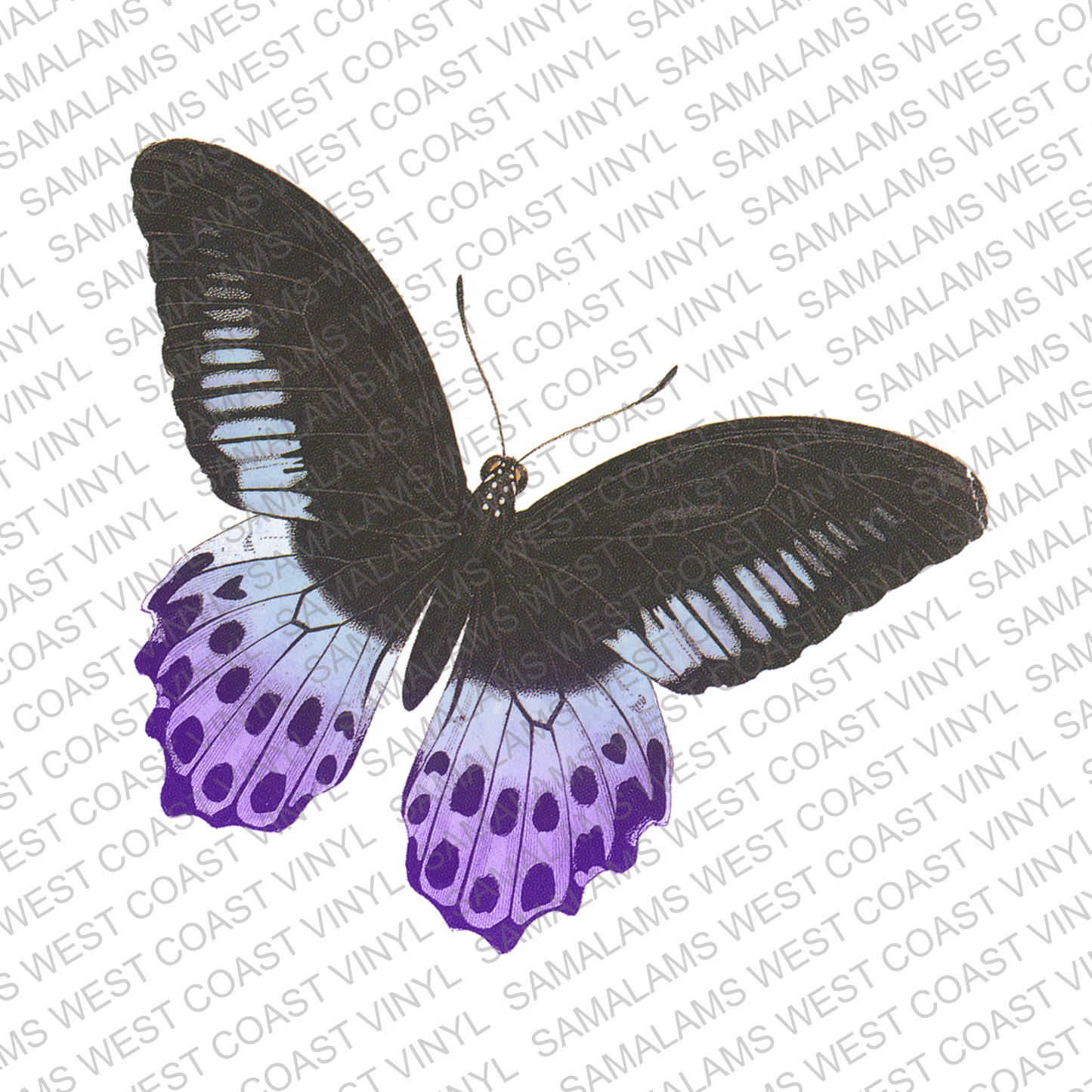 Butterflies - Pack 1