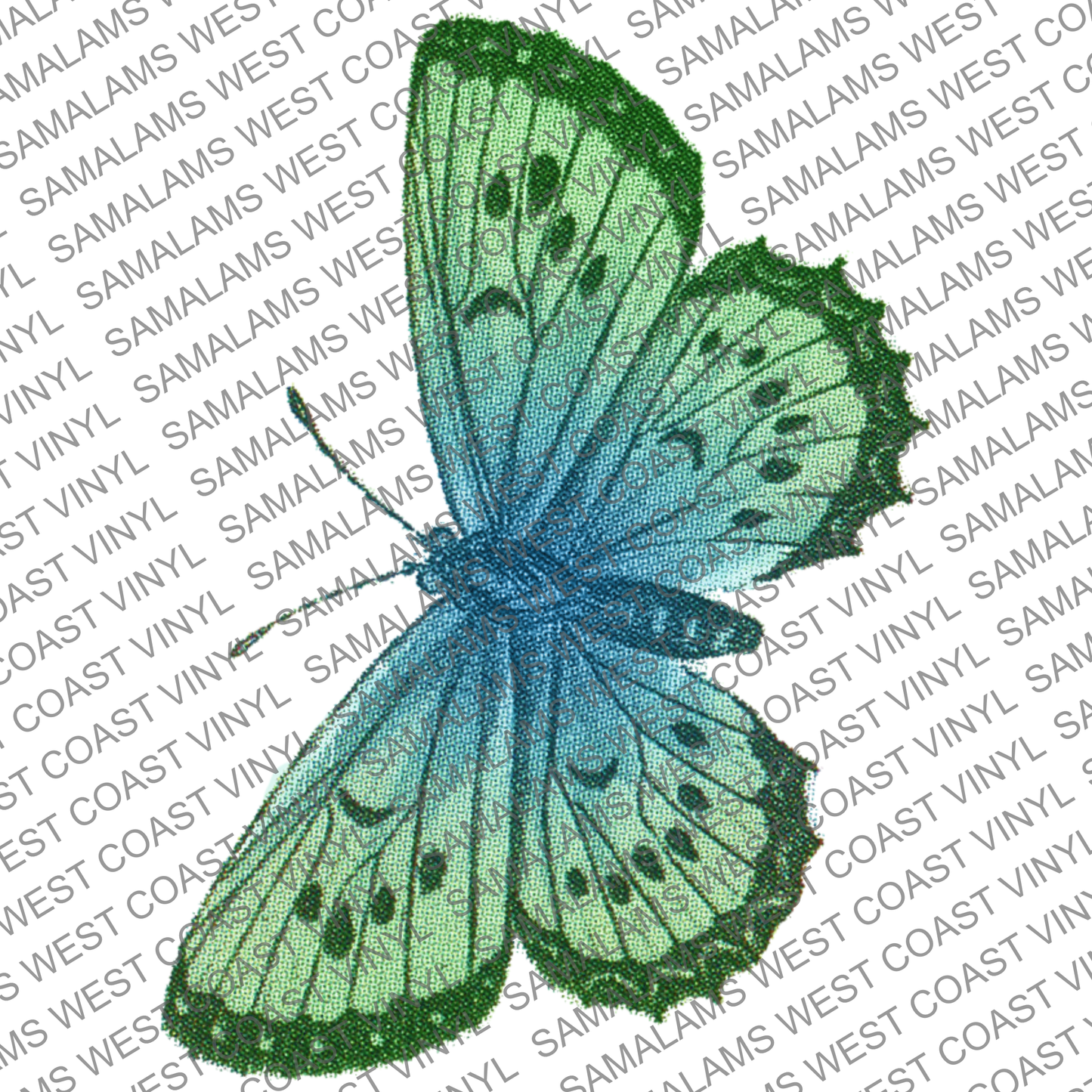 Butterflies - Pack 1